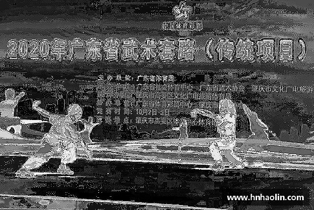 介绍yy易游